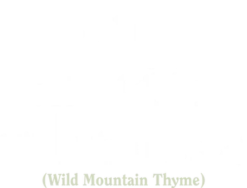 Wild Mountain Thyme