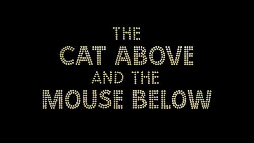 The Cat Above and The Mouse Below