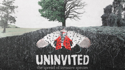Uninvited: The Spread of Invasive Species