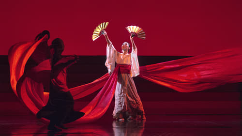 The Metropolitan Opera: Madama Butterfly