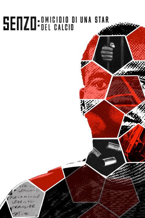 Senzo: omicidio di una star del calcio