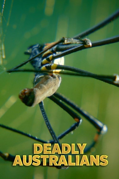 Deadly Australians 2017