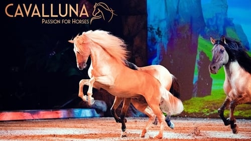 Cavalluna - Welt der Fantasie Bild 2