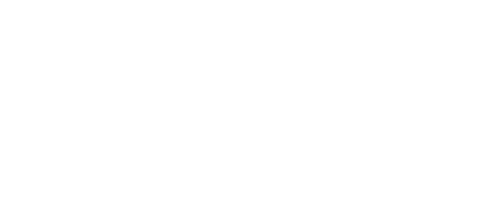 Caballos salvajes
