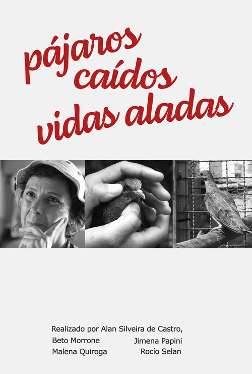 Pájaros Caídos, vidas aladas