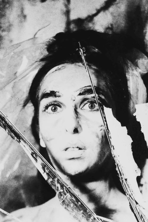 Largescale poster for Carolee Schneemann
