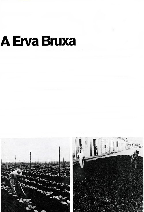 A Erva Bruxa 1970