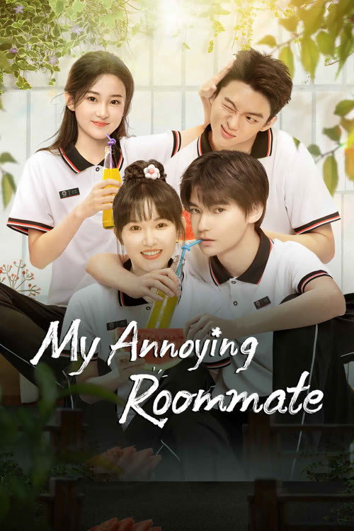 My Annoying Roommate