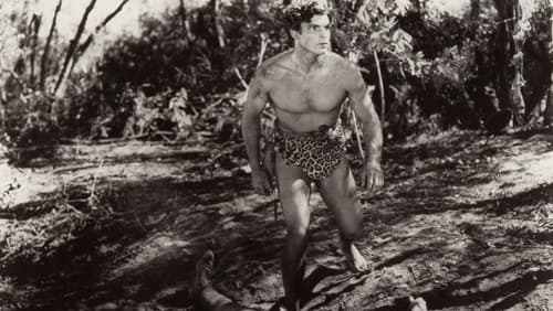 Tarzan: Silver Screen King of the Jungle