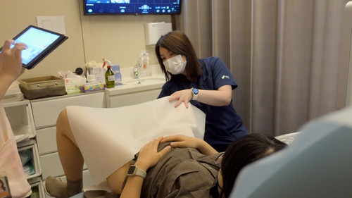 Fantastic Eggs and Where to Find Them