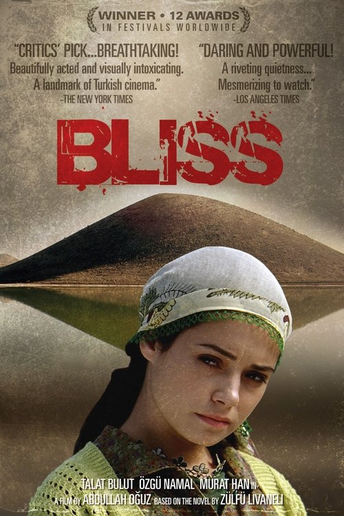 Bliss 2007