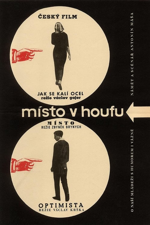 Místo v houfu (1964)