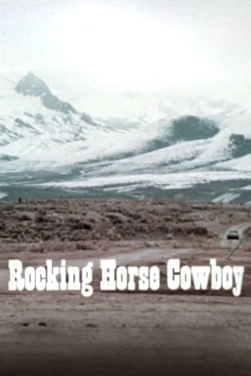 Rocking Horse Cowboy