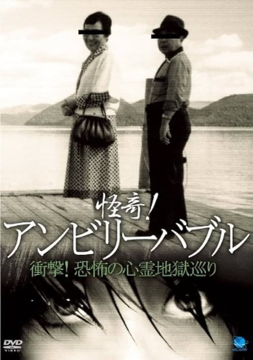 怪奇！アンビリーバブル 衝撃！恐怖の心霊地獄巡り (2012)