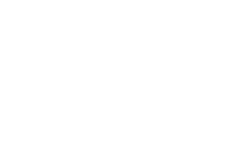 The Best Man
