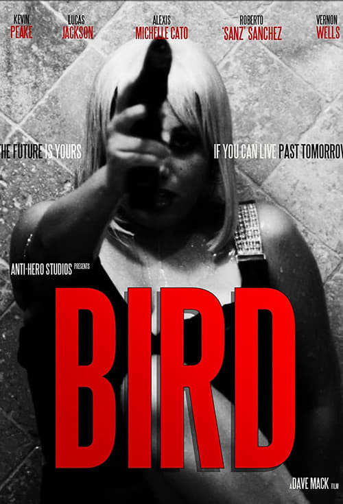 Bird (2020)