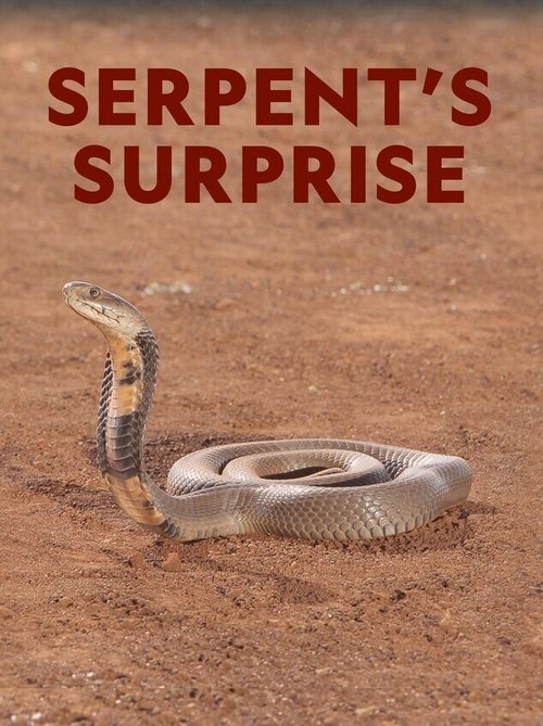 Serpents Surprise poster