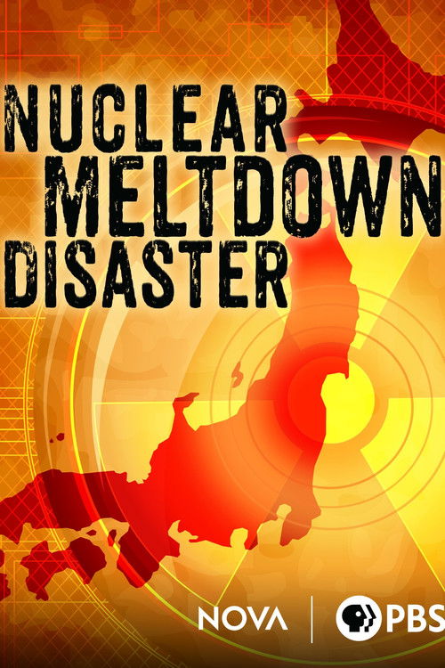 Affiche du film Nuclear Meltdown Disaster
