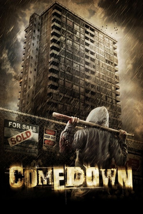 Comedown (2012) poster