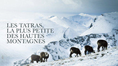 Image du film