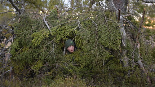 Whispers in the Woods