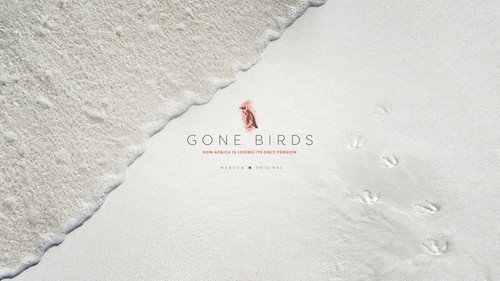 Gone Birds Backdrop Blur
