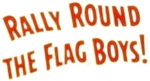 Rally 'Round the Flag, Boys!