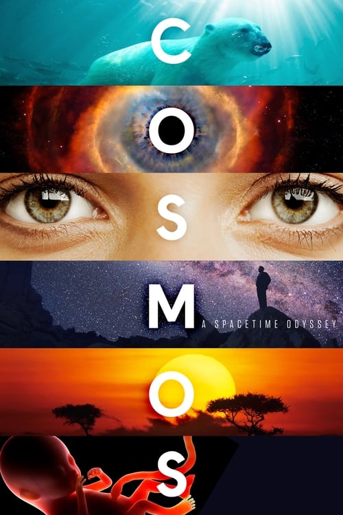 Where to stream Cosmos: A Spacetime Odyssey