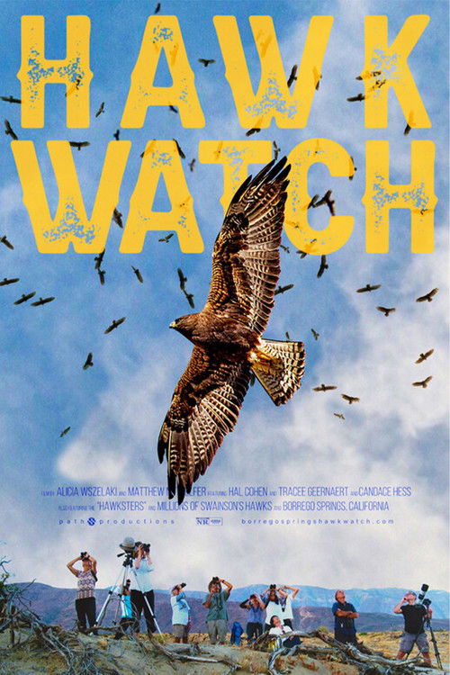 Hawk Watch
