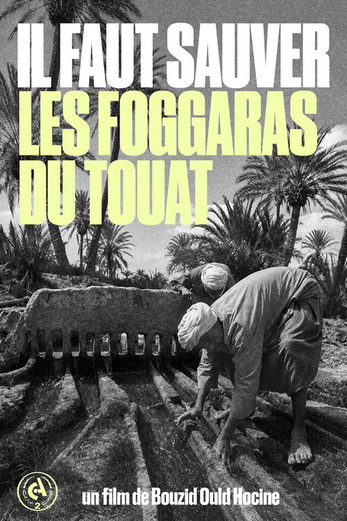 Il Faut Sauver les Foggaras du Touat