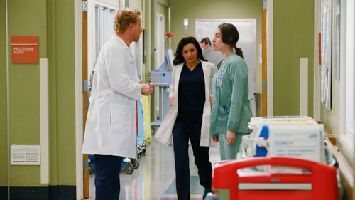 Grey’s Anatomy: 11×20