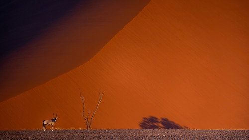 Namibie : exceptionnelle par nature