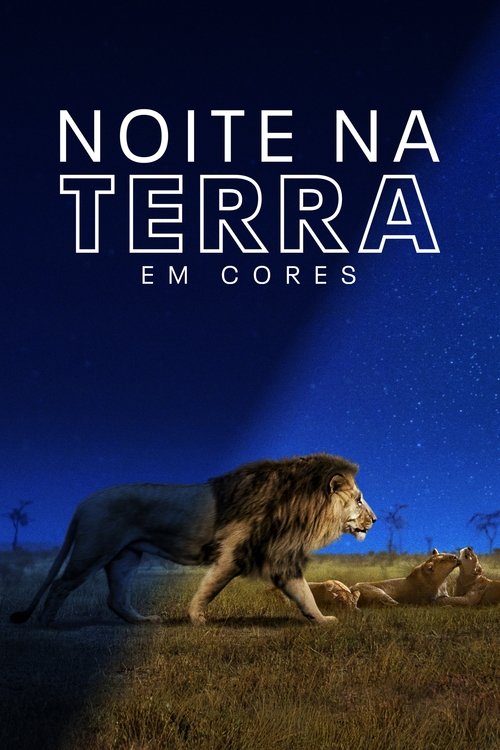 Image Noite na Terra em Cores