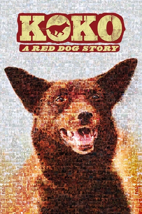 Where to stream Koko: A Red Dog Story