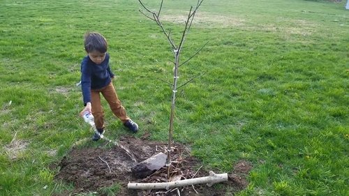 Planting Earth Week image 3