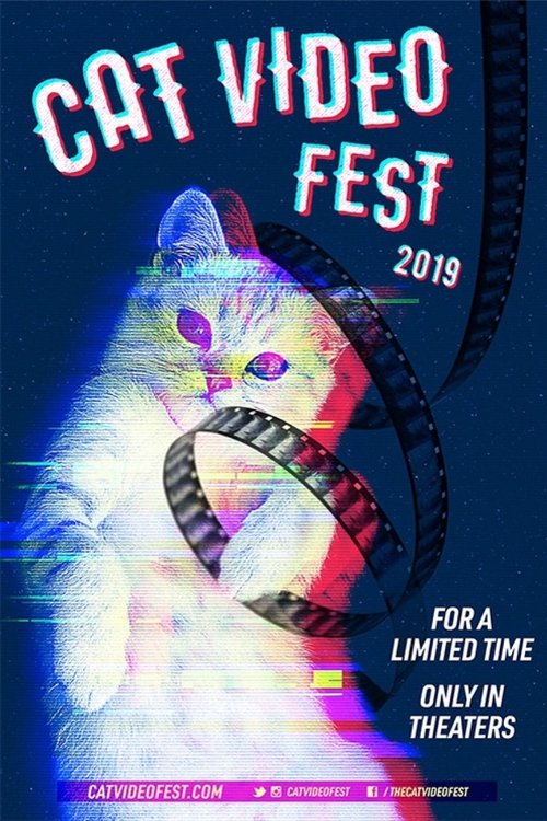 CatVideoFest 2019 movie poster player