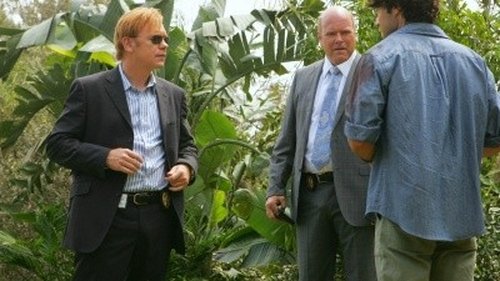 Poster della serie CSI: Miami