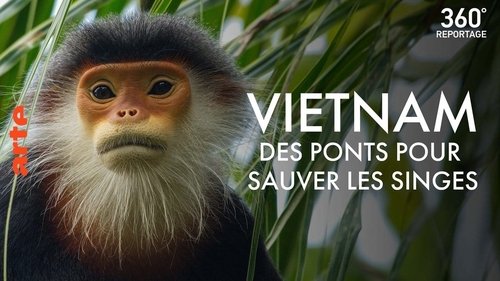 Image de l'épisode 1