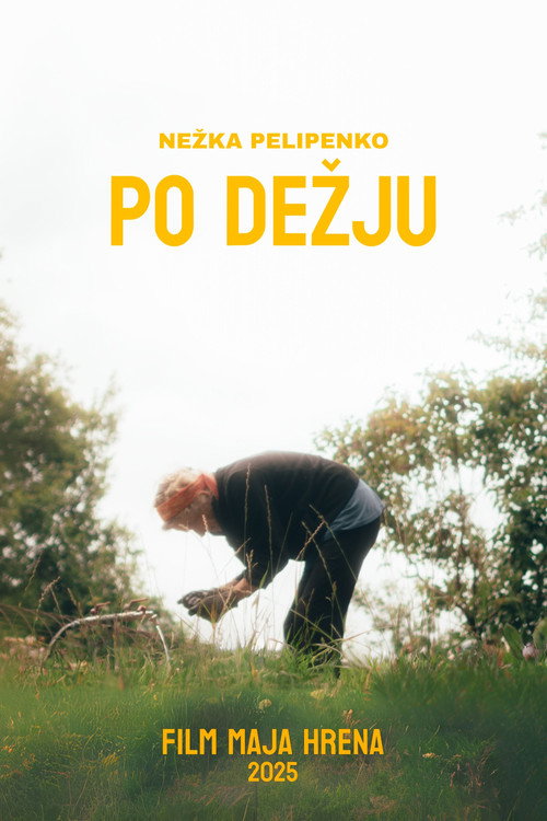 Po Dežju