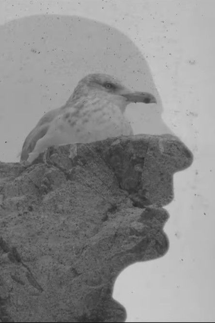 Winter Island poster