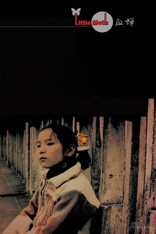 Pôster oficial de 血蝉 (2008) - Drama
