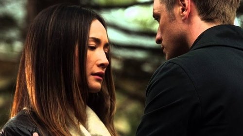 Nikita: 2×10