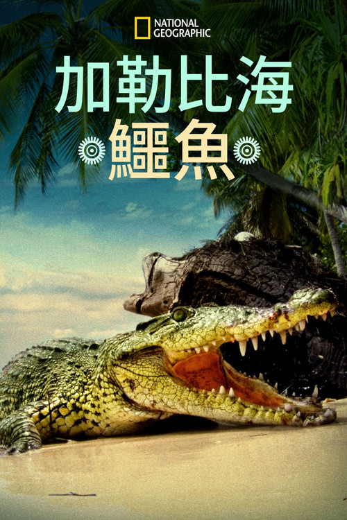 Life and Death in Paradise: Crocs of the Caribbean