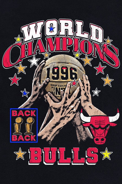 The 1996 NBA Finals