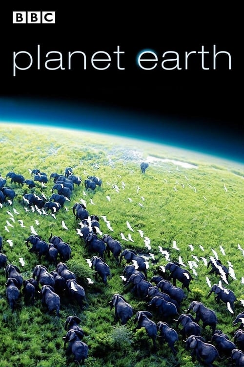 Planet Earth poster