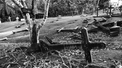 Fordlandia Malaise