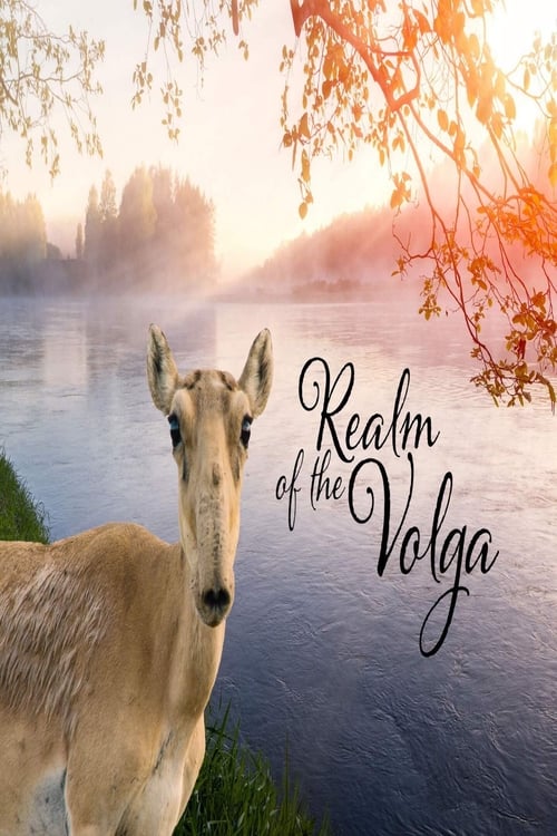 Realm of the Volga poster