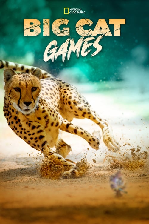 Big Cat Games [2015] - French - HDT [...]