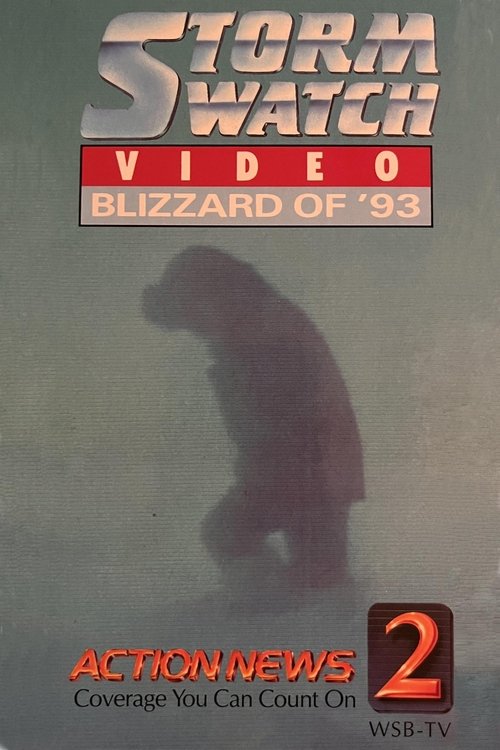 Stormwatch Video: Blizzard of '93 (1993) poster