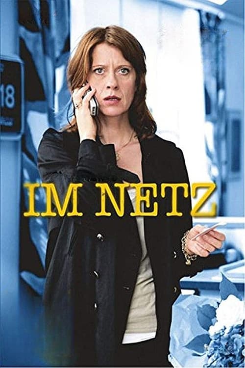 Im Netz (2013)